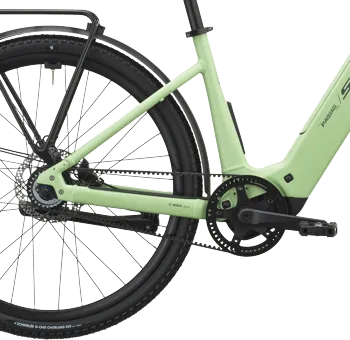 Scott Passage 10 Belt Wave 2027 Paradise Green