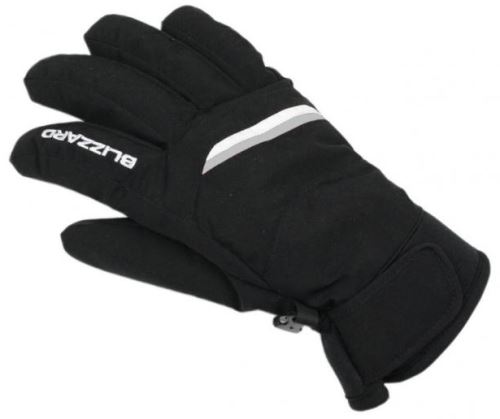 BLIZZARD Viva Plose ski gloves, black/white/silver