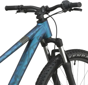 Scott Roxter 600 2027 Transformative Green