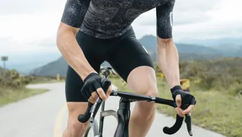 Q36.5 Gregarius Pro Bib Short Black