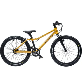 DĚTSKÉ LEHKÉ KOLO RASCAL 20" 3sp Gold