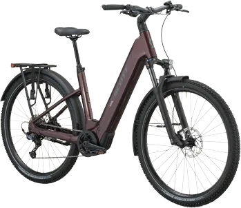 Scott Axis 10 Wave 2027 Aubergine Red